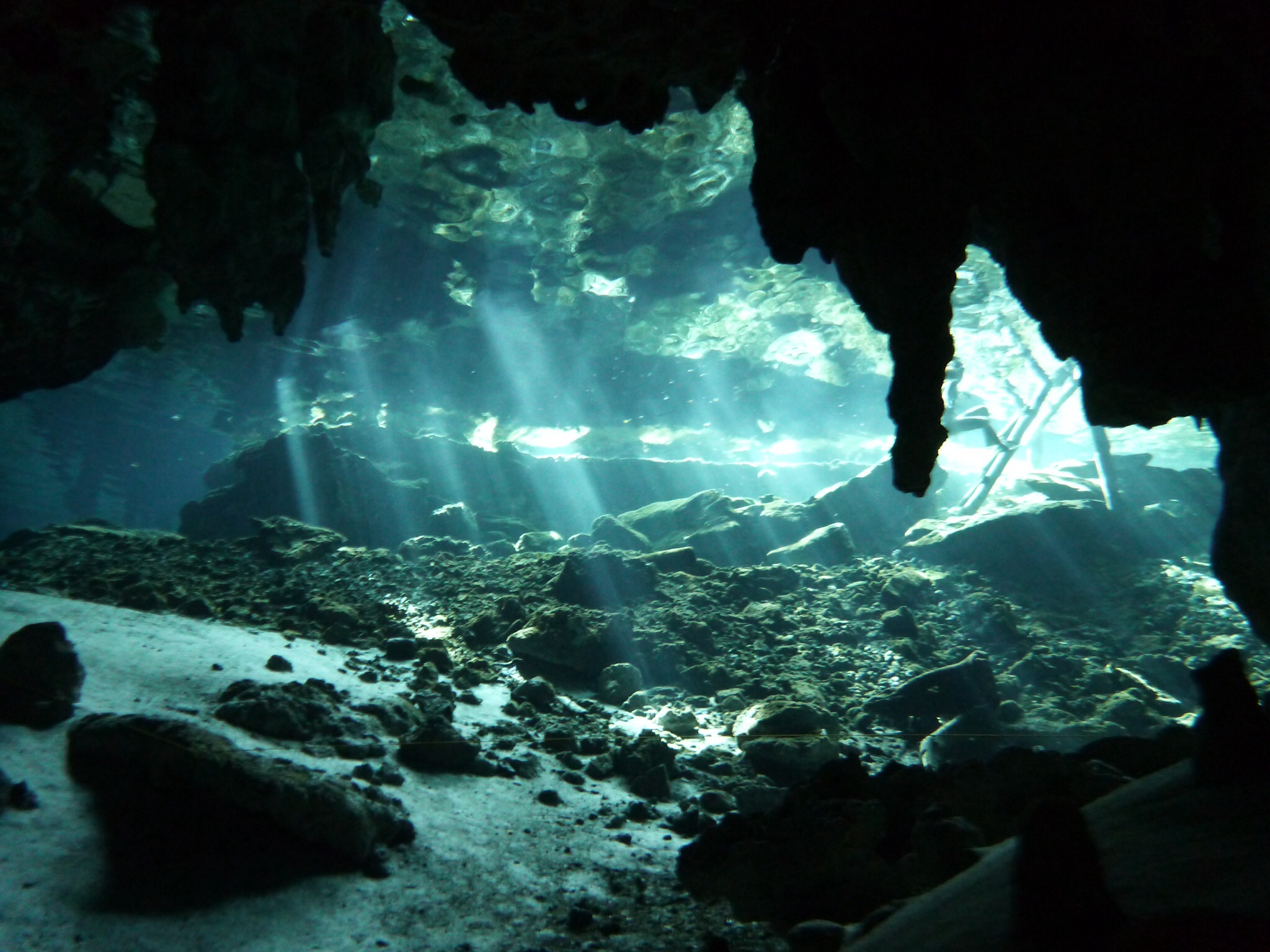 Cenote Diving in the Yucatan