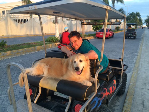 Dog Sitting in Isla Mujeres